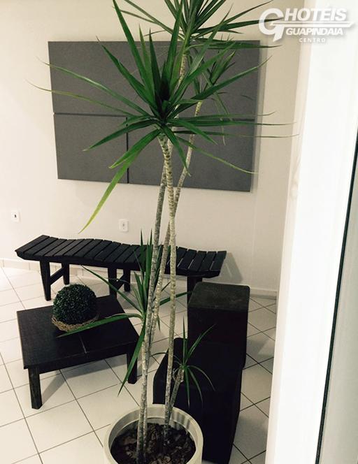 Hotel Guapindaia Centro Rio Branco Zewnętrze zdjęcie